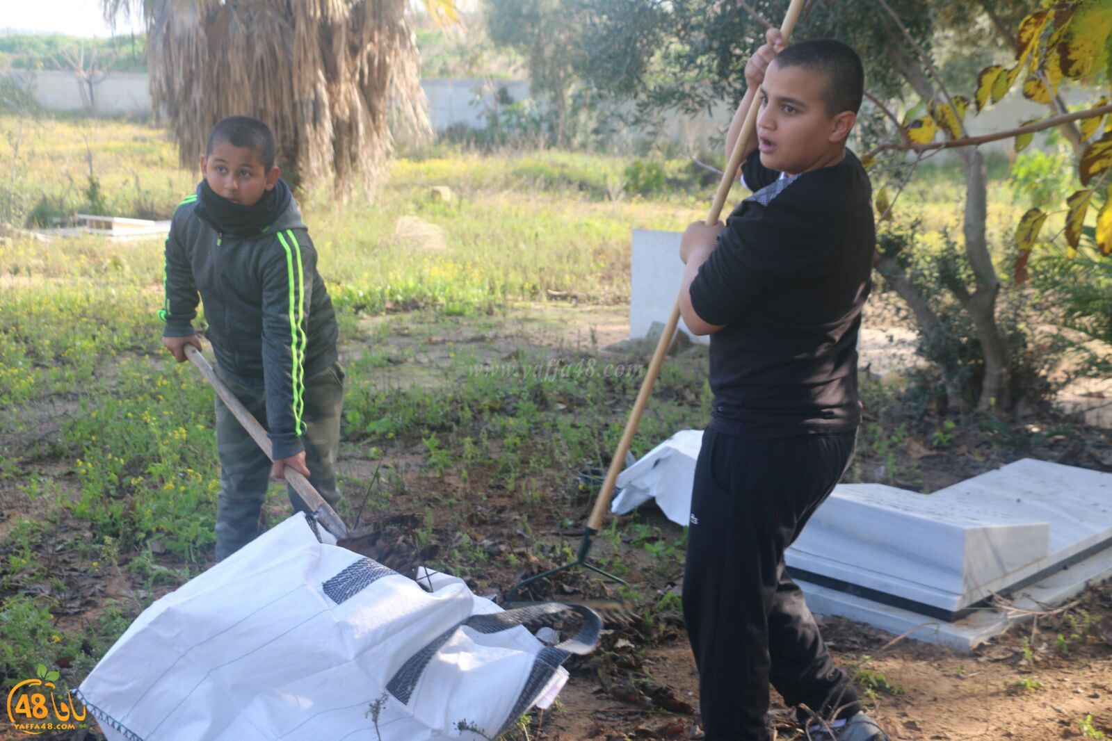 taso 23 tendedf (33).jpg